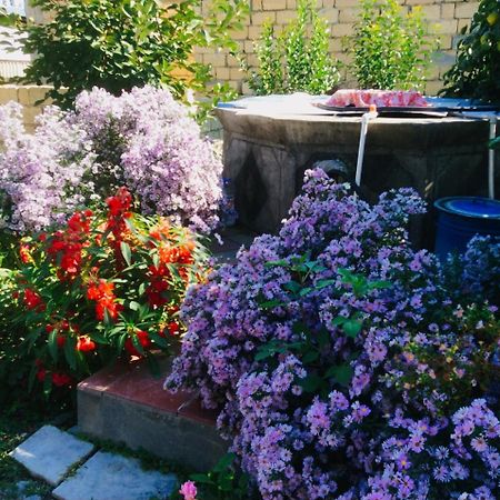 House On Ashiq Cuma Street 8 Bed & Breakfast Şǝki Bagian luar foto