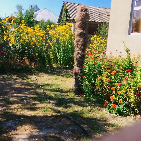 House On Ashiq Cuma Street 8 Bed & Breakfast Şǝki Bagian luar foto