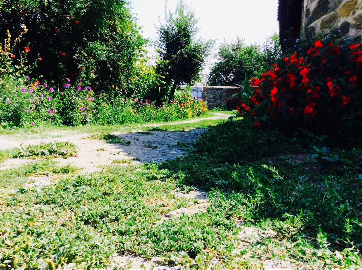 House On Ashiq Cuma Street 8 Bed & Breakfast Şǝki Bagian luar foto
