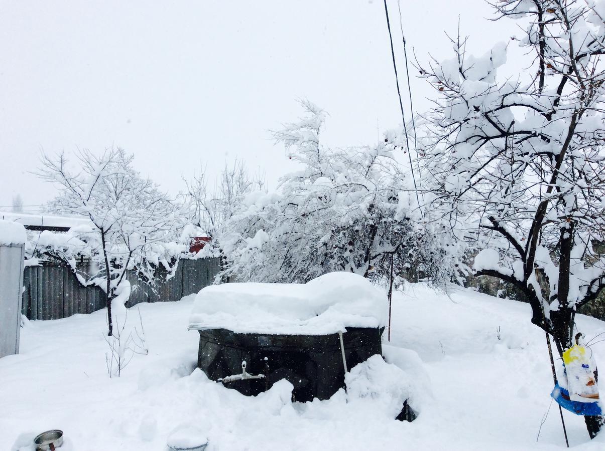 House On Ashiq Cuma Street 8 Bed & Breakfast Şǝki Bagian luar foto