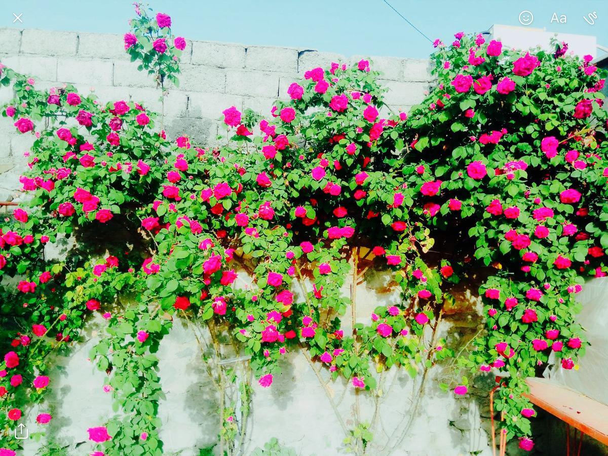 House On Ashiq Cuma Street 8 Bed & Breakfast Şǝki Bagian luar foto
